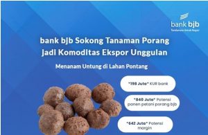 bank bjb Dukung Pertumbuhan Lahan Porang, Komoditas Pertanian yang Sedang Jadi Primadona Ekspor