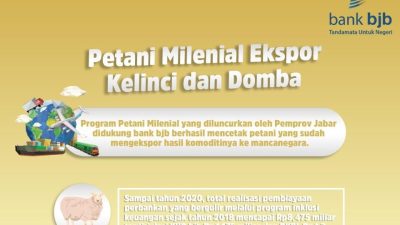 Sukses Ekspor Kelinci & Domba, Bank bjb Berikan Permodalan dan Pendampingan Bagi Petani Milenial