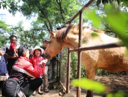 Usai Diputuskan oleh PN Bandung, Pemkot Segera Ambil Alih Lahan Kebun Binatang