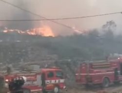 Kebakaran TPA Sarimukti: AZWI Desak Pemerintah Serius Tangani Sampah Perkotaan