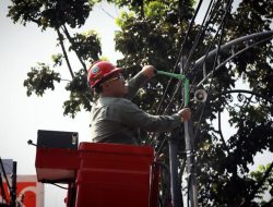 Rizal Khairul: Penurunan Kabel FO Demi Keselamatan dan Estetika