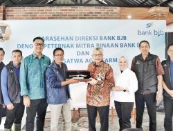 Akselerasi Bisnis Sektor Peternakan, bank bjb Kunjungi PT Agro Sari Satwa di Bali
