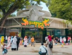 Tawaran Solusi dari Walikota Bandung Diapresiasi Serikat Pekerja Bandung Zoo