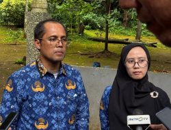 Dua Anak Harimau Benggala Mati Akibat Serangan Virus Panleukopenia