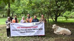 Solusi Bangun Indonesia Salurkan 27 Hewan Kurban di Iduladha 1447 H