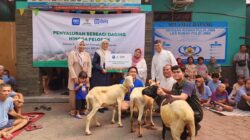 BAZNAS Jabar Salurkan Bantuan Tiga Ekor Domba Kepada Masyarakat Ciranjang Cianjur