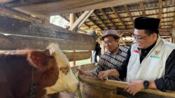 Sambangi Warga Tasikmalaya, BAZNAS Jabar Salurkan Program Berbagi Daging dari Pengguna QuranBest