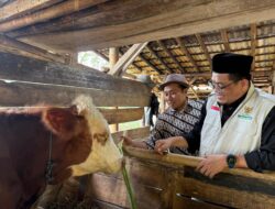 Sambangi Warga Tasikmalaya, BAZNAS Jabar Salurkan Program Berbagi Daging dari Pengguna QuranBest