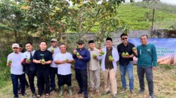 Penuh Kebahagiaan, Petani Binaan BAZNAS Jabar Panen Raya Perdana Alpukat