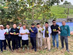 Penuh Kebahagiaan, Petani Binaan BAZNAS Jabar Panen Raya Perdana Alpukat